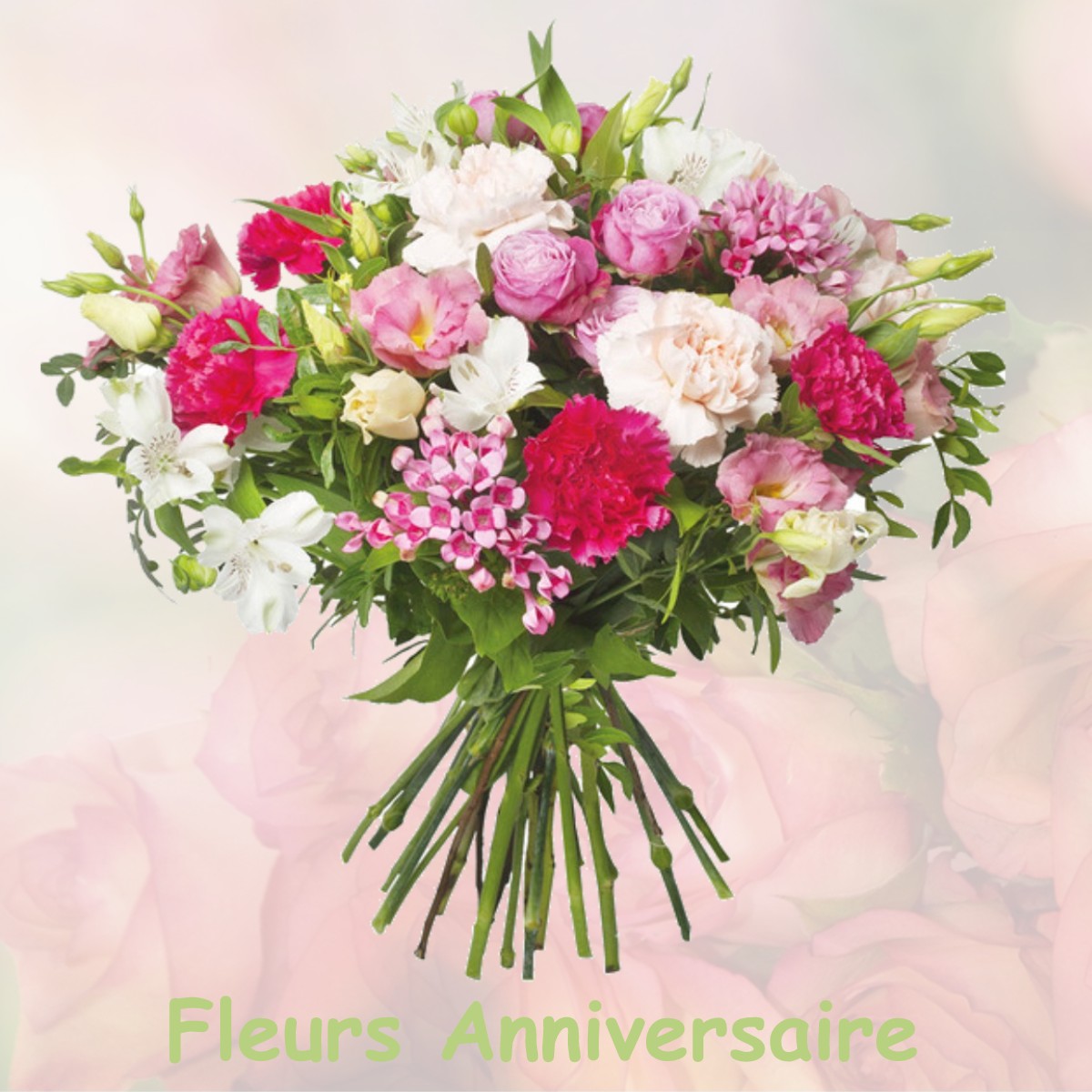 fleurs anniversaire BELLERIVE-SUR-ALLIER